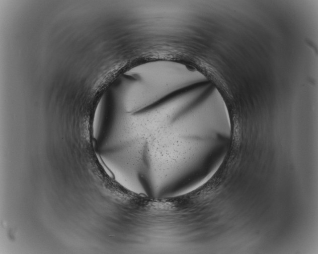 X0000100840403200807111156