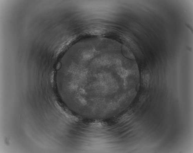 X0000100840404200807111156