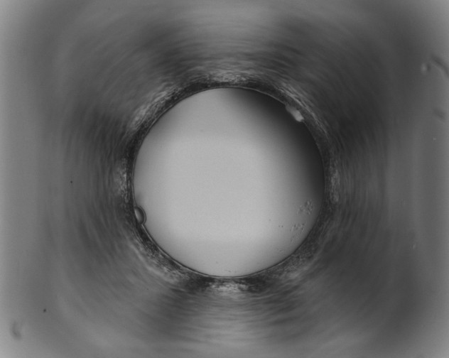 X0000100840407200807111156