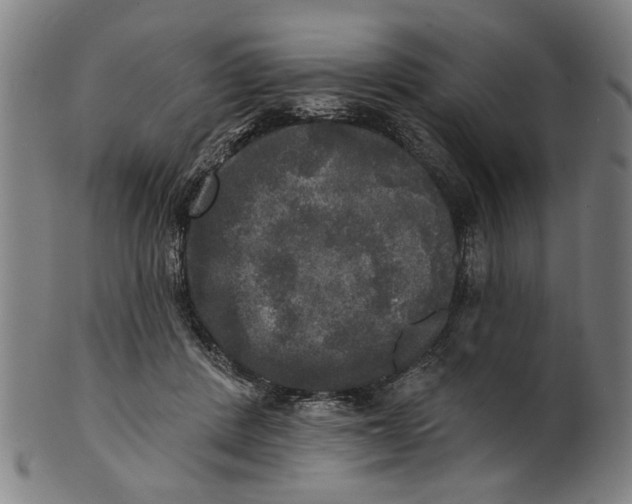 X0000100840408200807111156