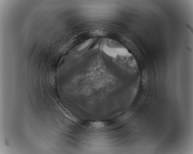 X0000100840409200807111156