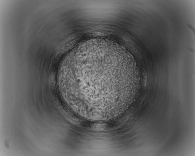 X0000100840410200807111156