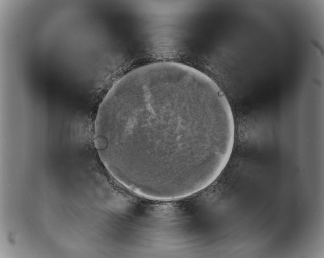 X0000100840411200807111156