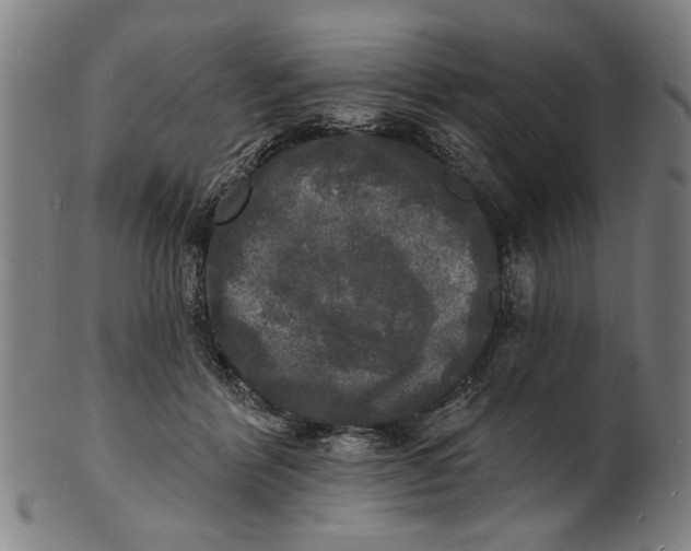 X0000100840412200807111156