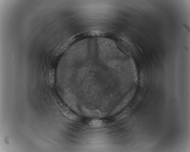 X0000100840413200807111156