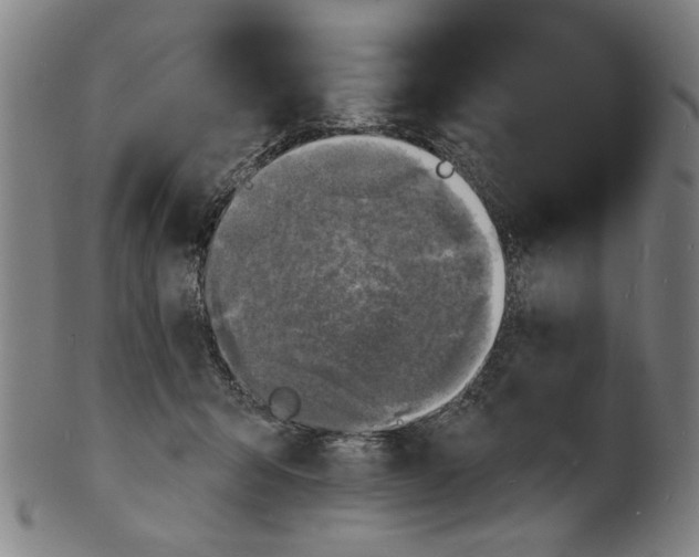 X0000100840415200807111156