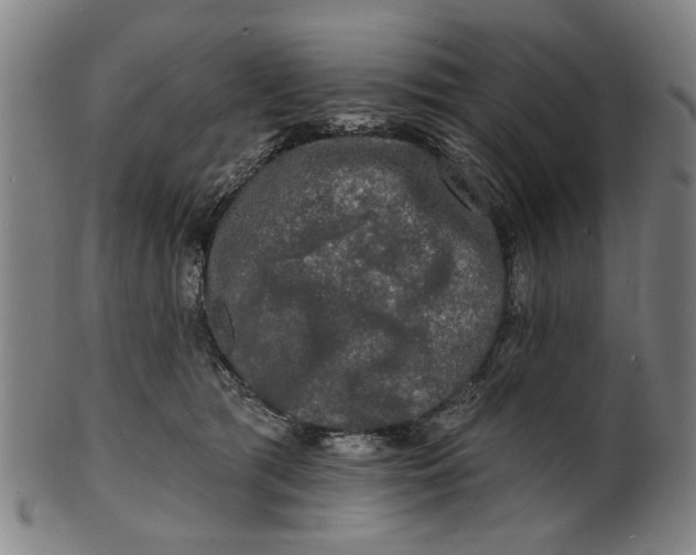 X0000100840417200807111156