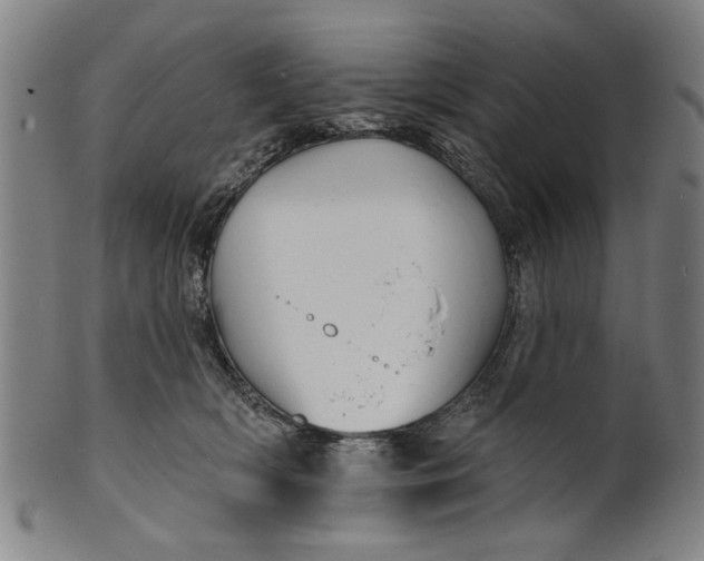 X0000100840418200807111156