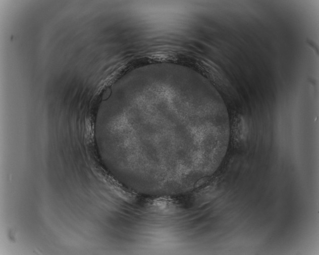 X0000100840420200807111156