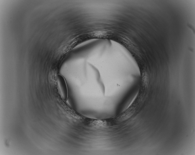 X0000100840421200807111156