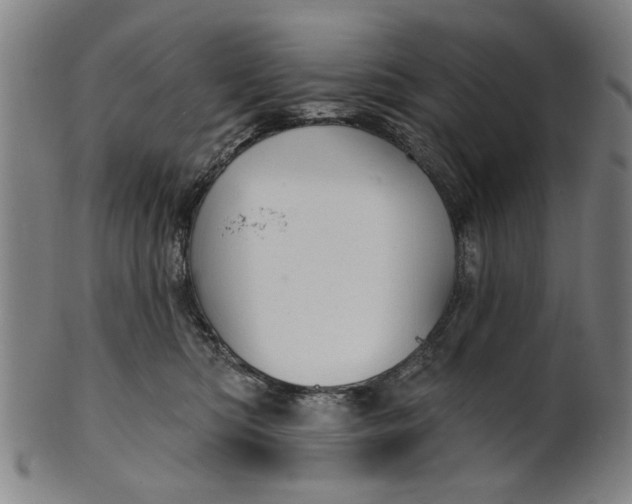 X0000100840422200807111156