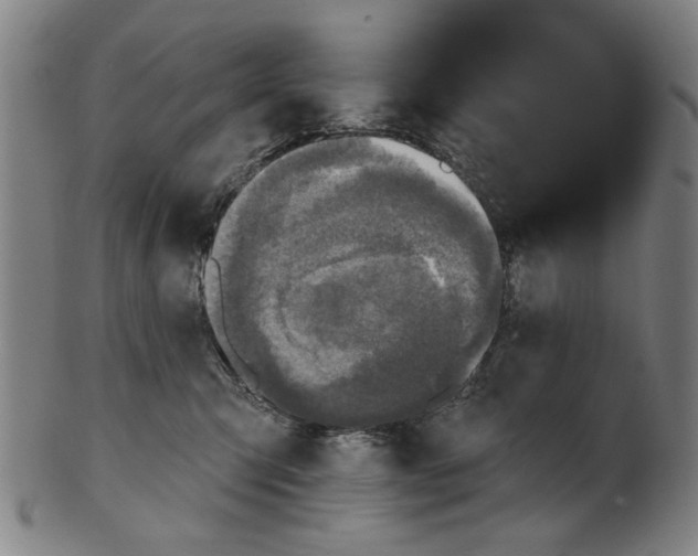 X0000100840423200807111156