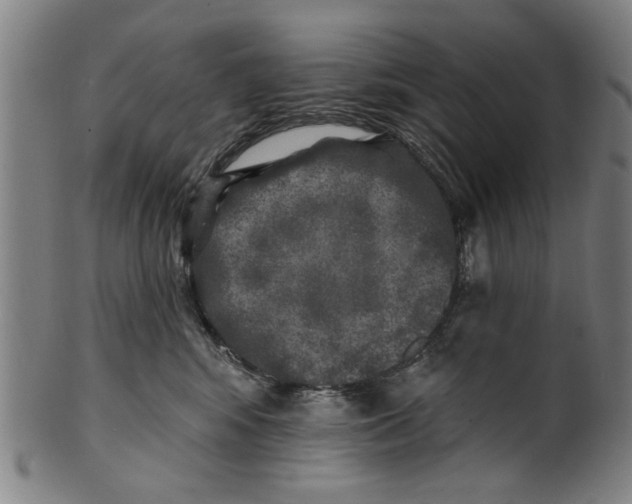 X0000100840424200807111156