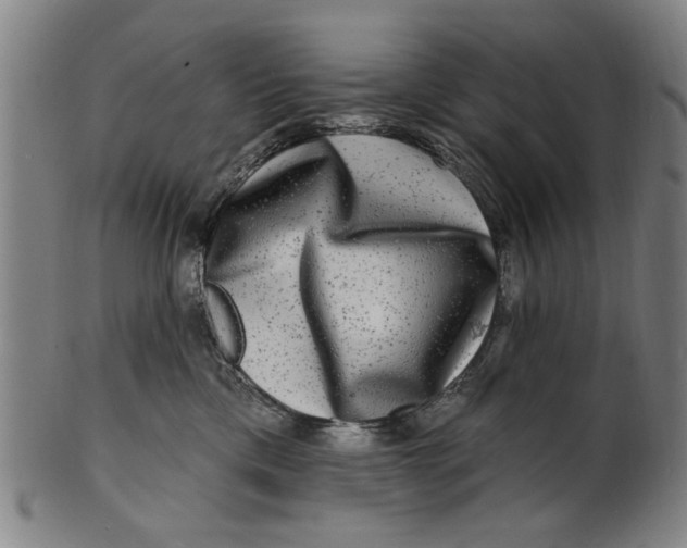 X0000100840425200807111156