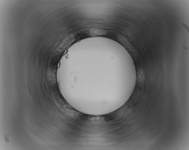 X0000100840426200807111156