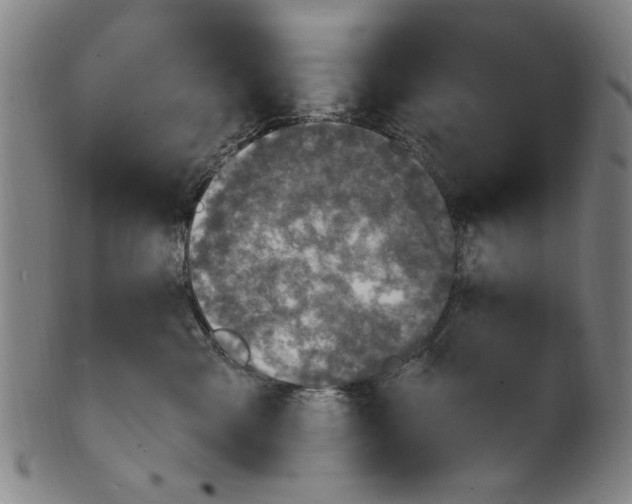 X0000100840427200807111156