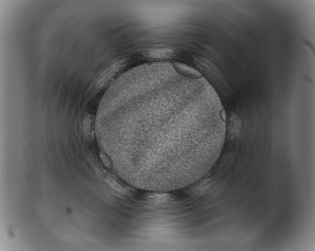 X0000100840428200807111156