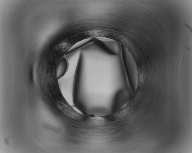 X0000100840429200807111156