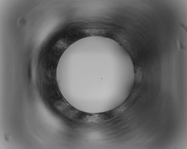 X0000100840430200807111156