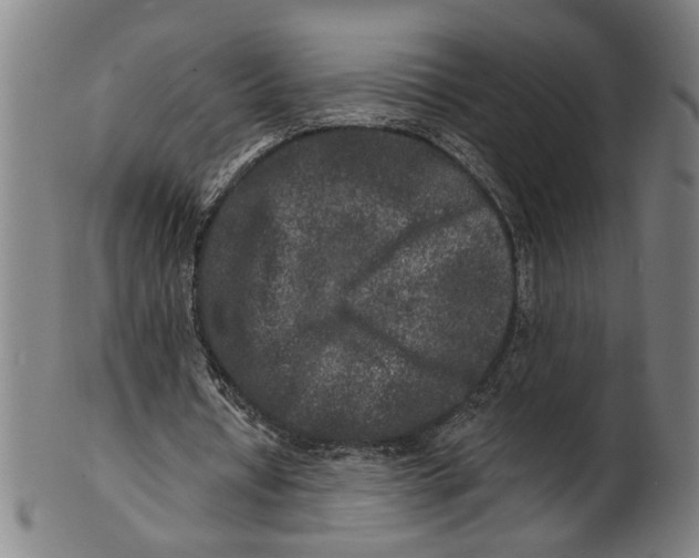 X0000100840434200807111155