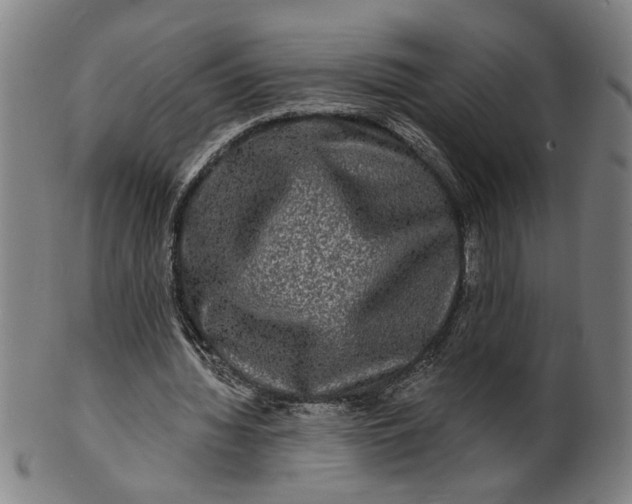 X0000100840436200807111155