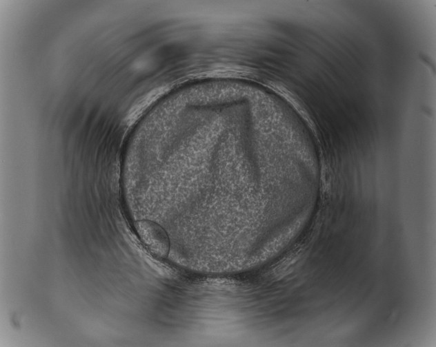 X0000100840437200807111155