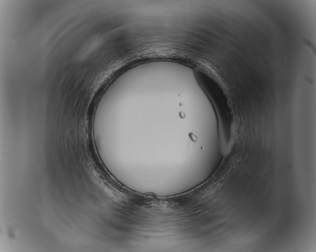 X0000100840439200807111155