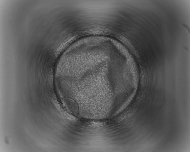 X0000100840442200807111155