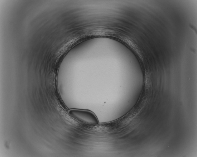 X0000100840445200807111155