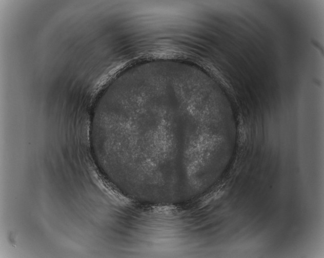 X0000100840446200807111155