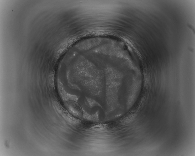 X0000100840447200807111155