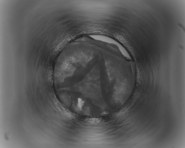 X0000100840449200807111155