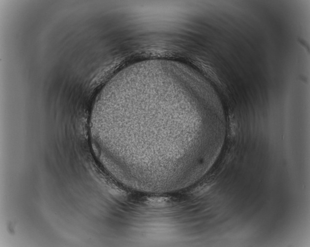 X0000100840450200807111155