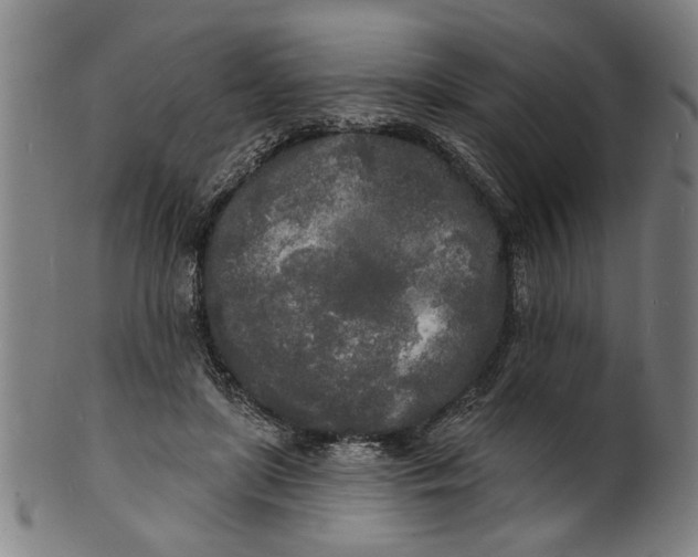 X0000100840451200807111155