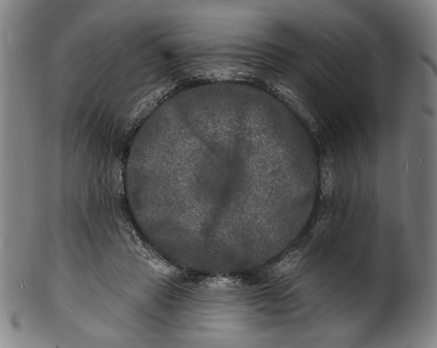 X0000100840453200807111155