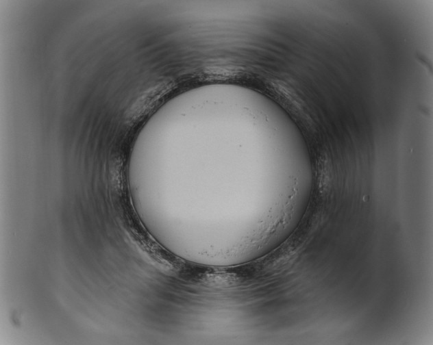 X0000100840455200807111155