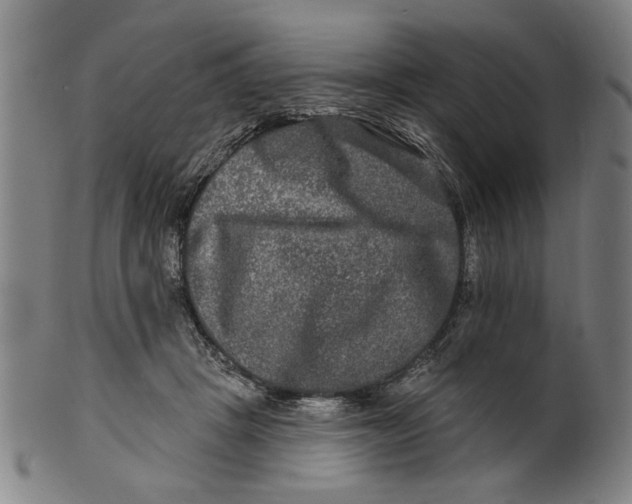 X0000100840457200807111155