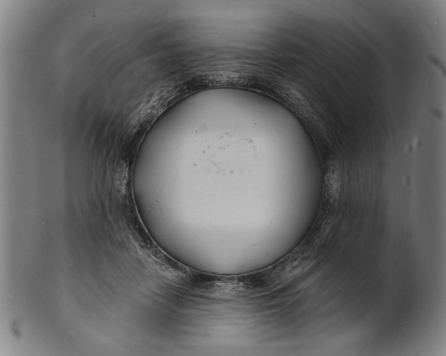 X0000100840458200807111155