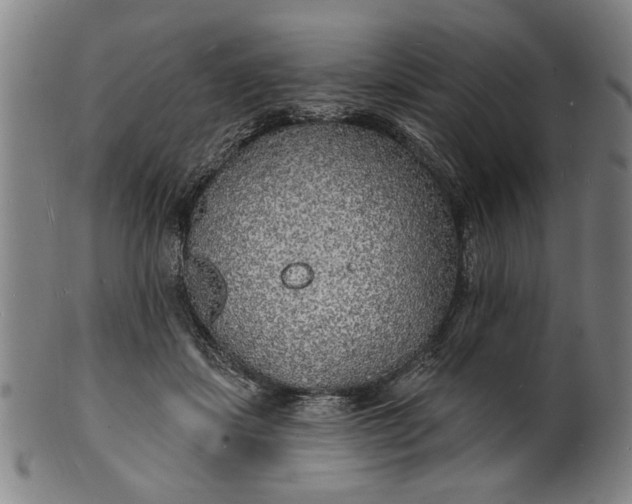 X0000100840459200807111155