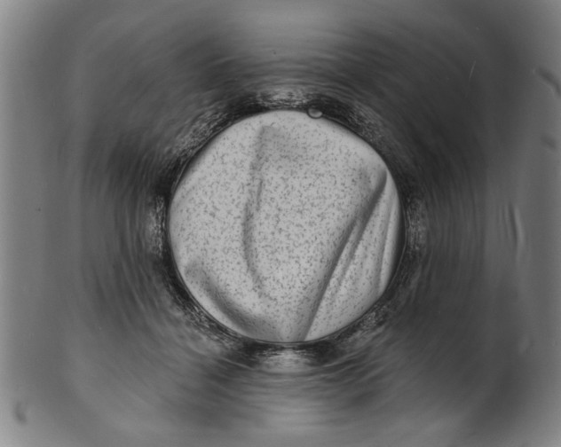 X0000100840460200807111155