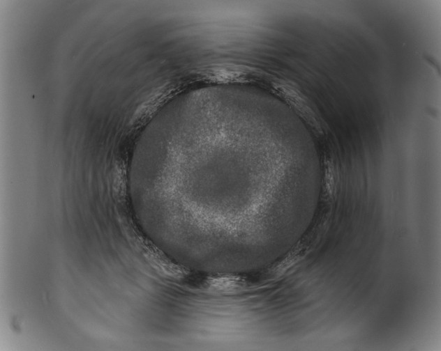 X0000100840461200807111155