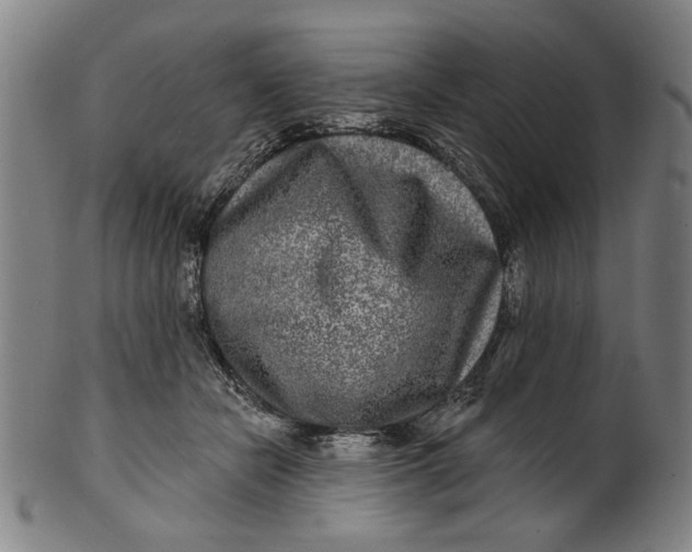 X0000100840462200807111155