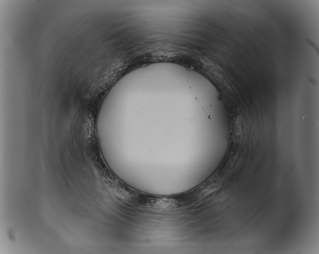 X0000100840463200807111155