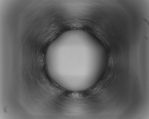 X0000100840464200807111155