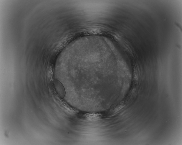 X0000100840465200807111155