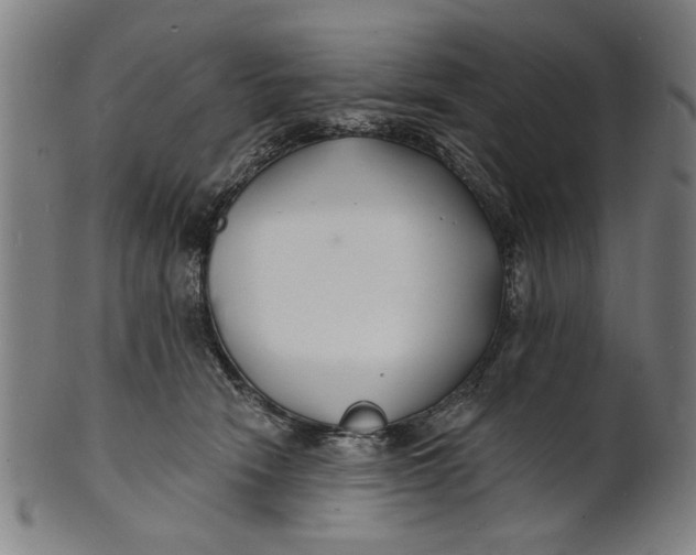 X0000100840466200807111155