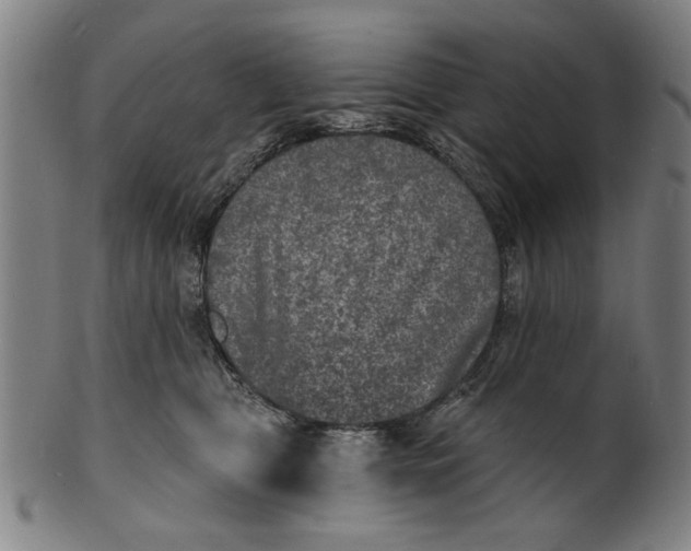 X0000100840469200807111156