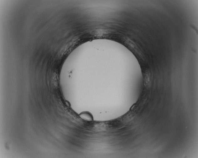 X0000100840470200807111156