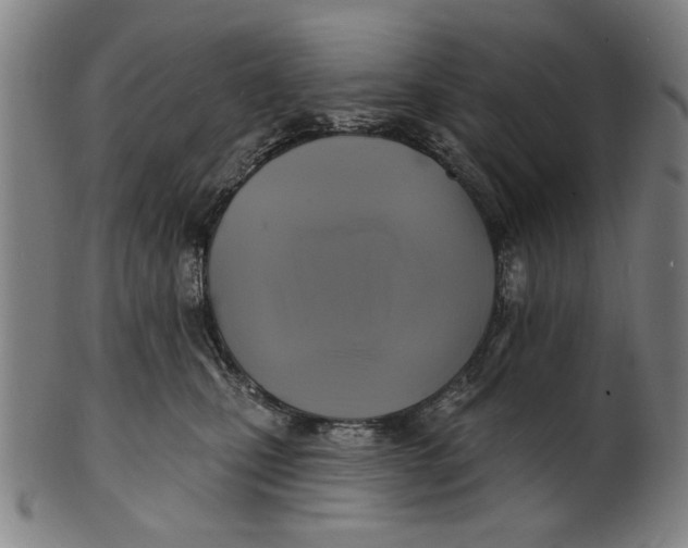 X0000100840471200807111156