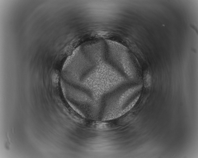 X0000100840472200807111156